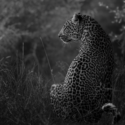 Screenshot 2026-07-28 at 15.35.14 The Quiet Turn